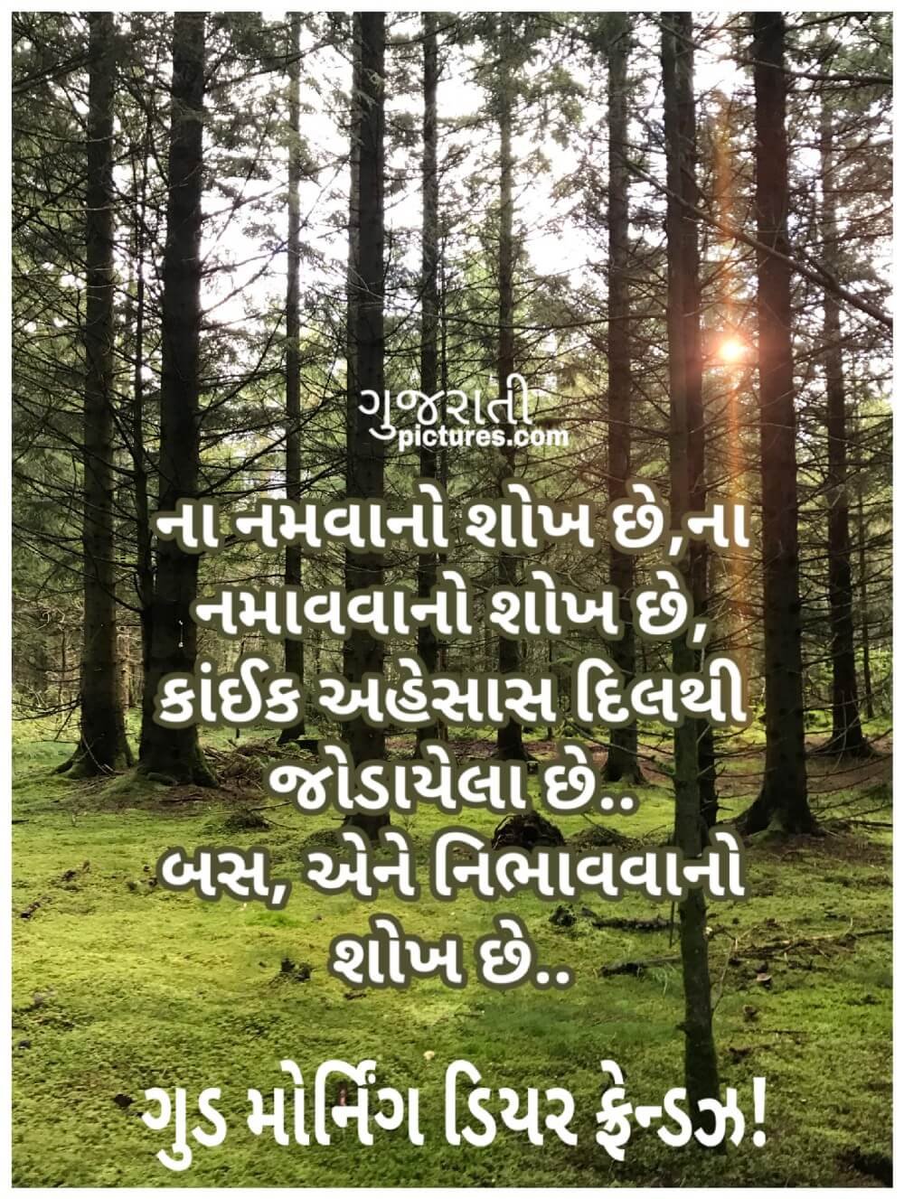 Gujarati suvichar post - Gujarati Pictures – Website Dedicated to ...